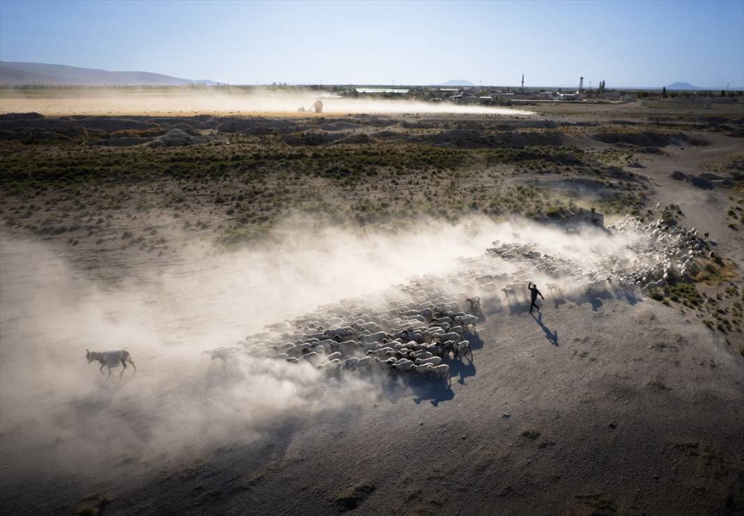 Konyalı besiciler kuraklığa çözüm buldu! Verim düşmeyecek 2